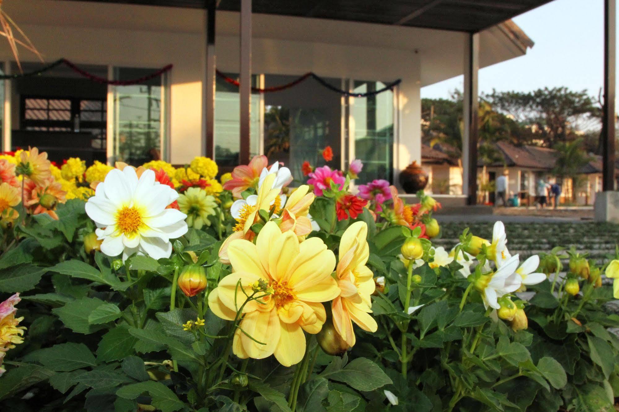 Chiangrai Green Park Resort Csiangraj Kültér fotó